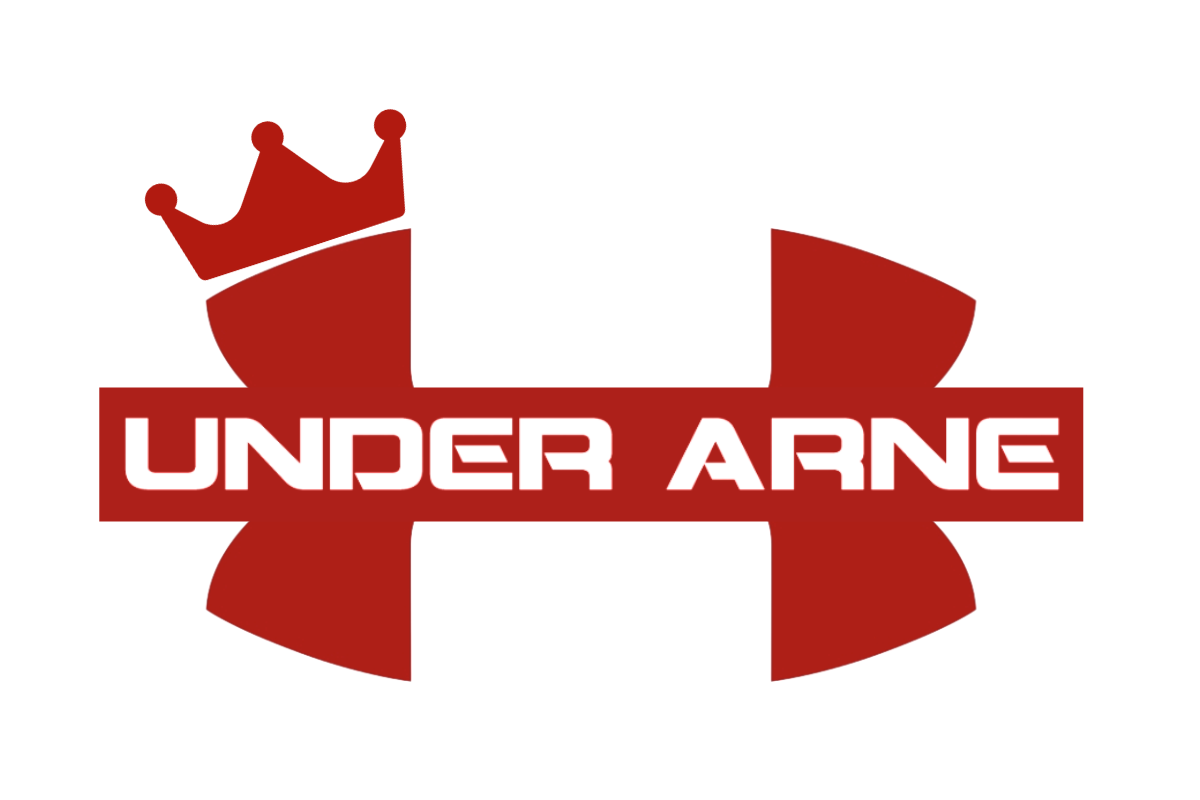 Under Arne Hoodie