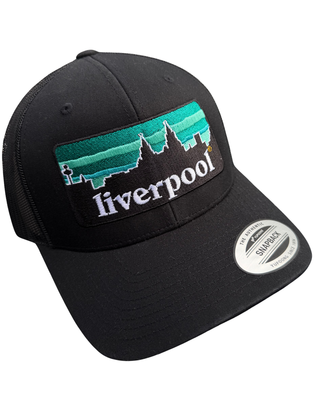 Liverpool x Patagonia Cap Teal